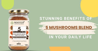 Stunning Benefits Of 5 Mushrooms Blend In Your Daily Life