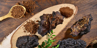 Chaga Mushroom Is The King For A Reason