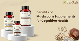 Benefits of Mushroom Supplements for Cognitive Health