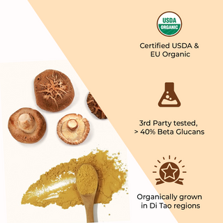 USDA Organic Shiitake Mushroom Extract Capsule