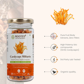 Cordyceps Powder