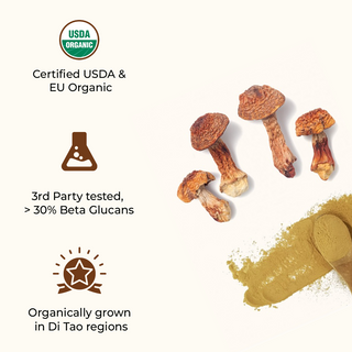 Organic Agaricus Blazei Extract Capsule