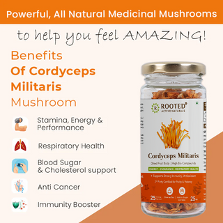 Cordyceps Powder