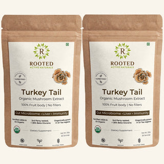 Turkey Tail Mushroom Extract Powder for Gut health and Immune System