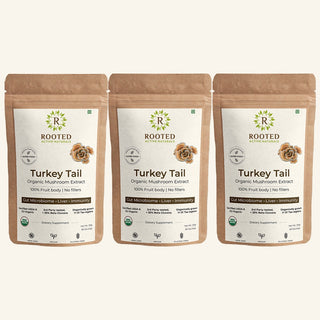 Turkey Tail Mushroom Extract Powder for Gut health and Immune System