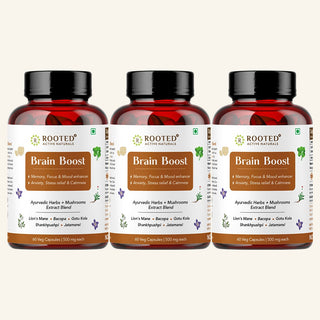 Brain Boost - Mushrooms & Ayurvedic Herbs Blend